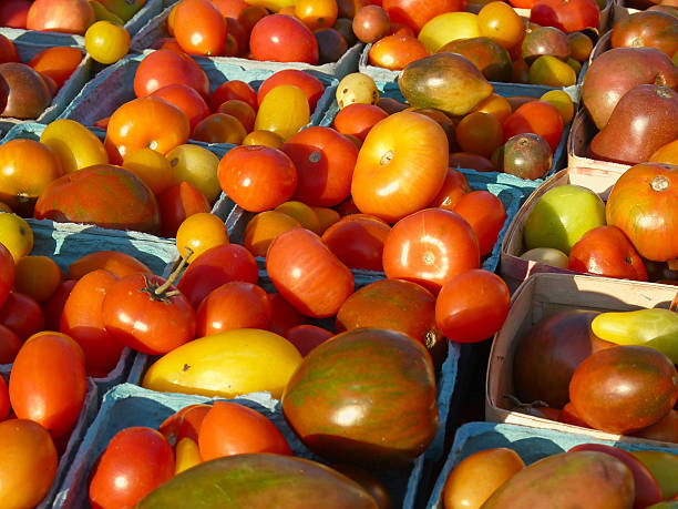 エアルームトマトのバスケットのファーマーズマーケット - heirloom tomato zebra tomato tomato organic ストックフォトと画像