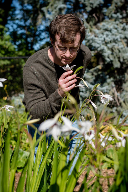istock A man enjoys a peaceful walk in a Winnipeg park. 1372252431