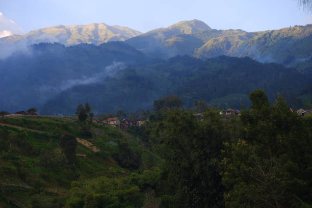 istock Foggy at merbabu mountain 1372252753