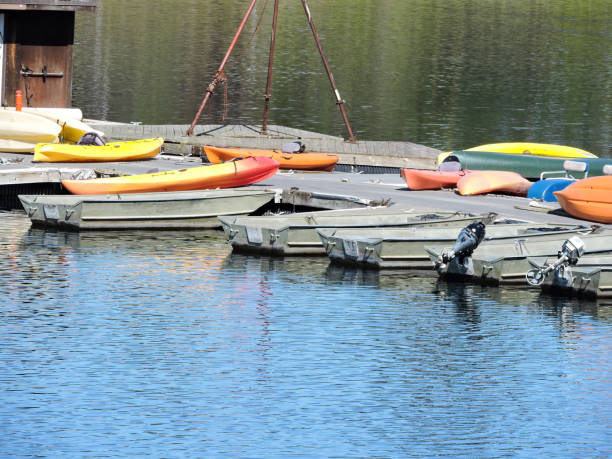 istock Boats On A Lake Dock 1372253439