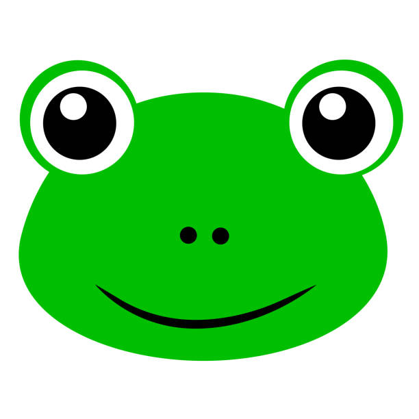 Simple Vector Funny Frog Face, Isolated on White vector art illustration
