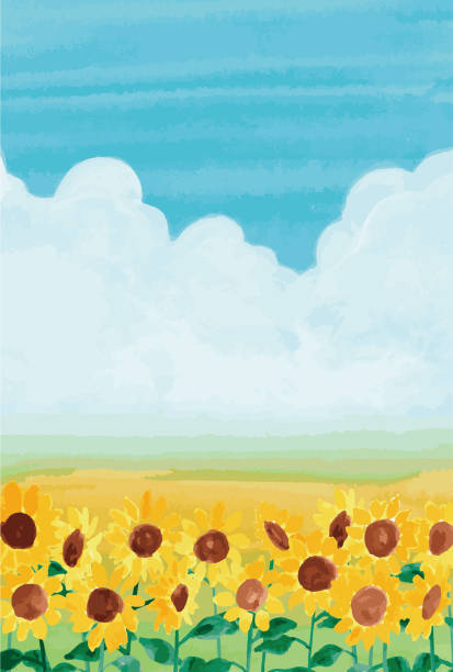 ilustraciones, imágenes clip art, dibujos animados e iconos de stock de ilustración en acuarela del paisaje de verano con girasoles en plena floración - agosto