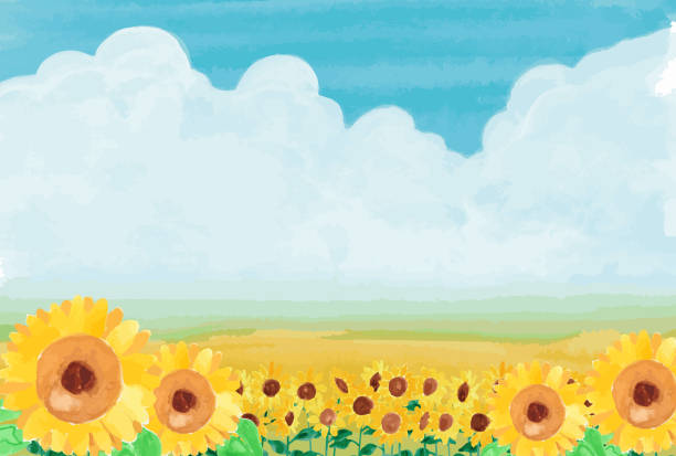 aquarelldarstellung der sommerlandschaft mit sonnenblumen in voller blüte - sunflower field scenics landscape stock-grafiken, -clipart, -cartoons und -symbole