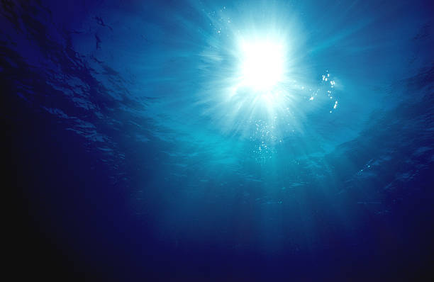 水中の太陽 - underwater ストックフォトと画像