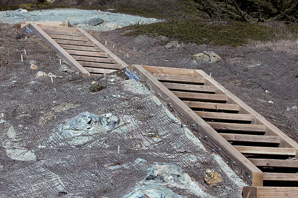 parco statale di percorso con prevenzione dell'erosione del suolo in vigore - prevenzione dellerosione del suolo foto e immagini stock