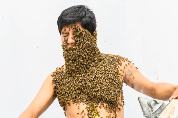 pszczelarz pokryty pszczołami, ma królową pszczół na szyi, więc wszystkie pszczoły przyklejają się do jego ciała. surrealizm. - swarm of bees zdjęcia i obrazy z banku zdjęć