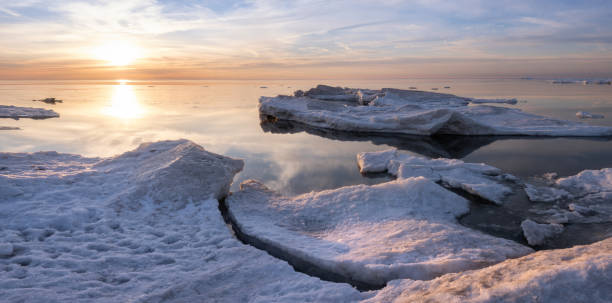 istock Point Pelee National Park, Leamington-Ontario - Tip 1372264288
