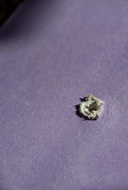 istock Hole in drywall left by screw or nail 1372267690