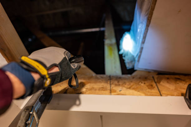 istock Shining a hand held flashlight into an open attic entrance 1372268322