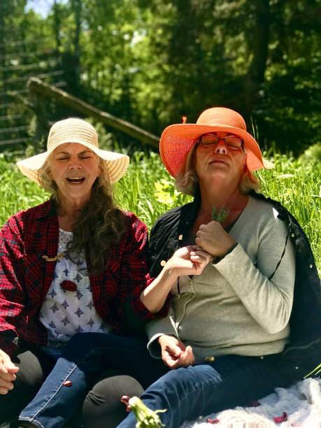 istock Straw hat senior sisters, laughing and playing in the Meadow. 1372270312