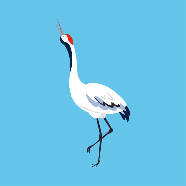 istock Red Crowned Crane as Long-legged and Long-necked Bird Standing on Blue Background Vector Illustration 1372275832
