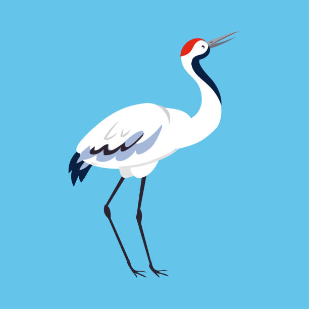 istock Red Crowned Crane as Long-legged and Long-necked Bird Standing on Blue Background Vector Illustration 1372275865