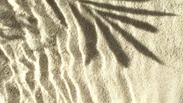 Slow motion water surface ripples and splash with palm tree leaf shadow on sand