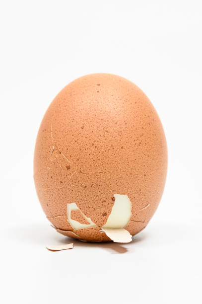 istock Close-up of a Columbus egg standing on a white background 1372280614