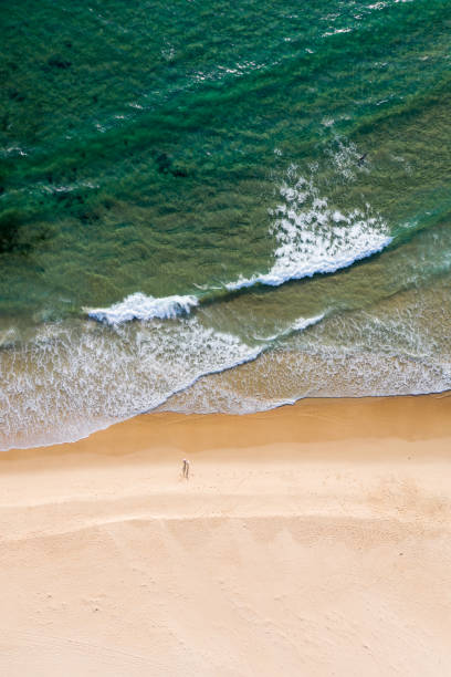 istock Nobbys Beach Aerial view - Newcastle Australia 1372283371