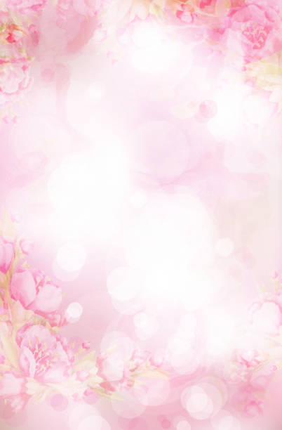 floraler, rosa, bokeh-hintergrund.  abstrakter rosa hintergrund. illustration. - backgrounds pink flower softness stock-grafiken, -clipart, -cartoons und -symbole