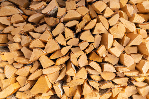 Heap or stack of wood or firewood on the sunny day Beautiful background, backdrop or texture of vivid, bright and colorful heap or stack of wood or firewood on the sunny day fuelwood stock pictures, royalty-free photos & images