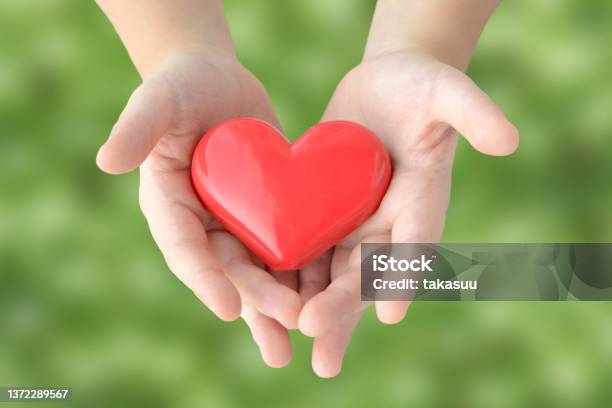 自然な緑色の背景に心臓のオブジェクトをカバーする子供の手