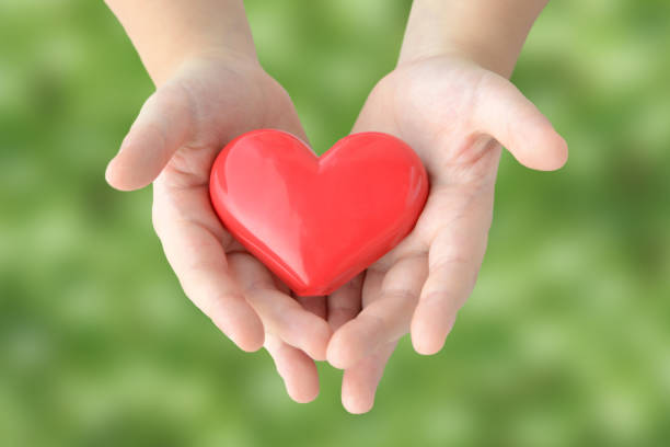 Child's hands covering heart object on natural green background stock photo