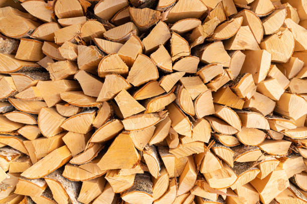 Heap or stack of wood or firewood on the sunny day Beautiful background, backdrop or texture of vivid, bright and colorful heap or stack of wood or firewood on the sunny day fuelwood stock pictures, royalty-free photos & images