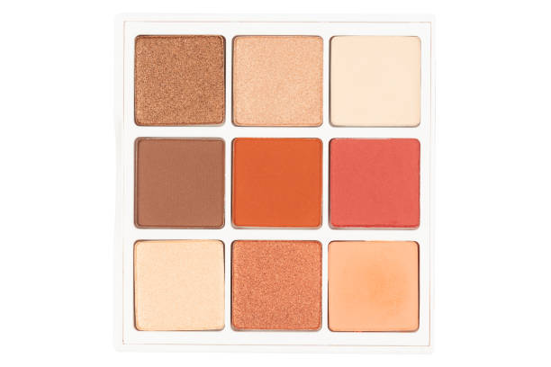 istock colorful makeup palette isolated on white background 1372291652