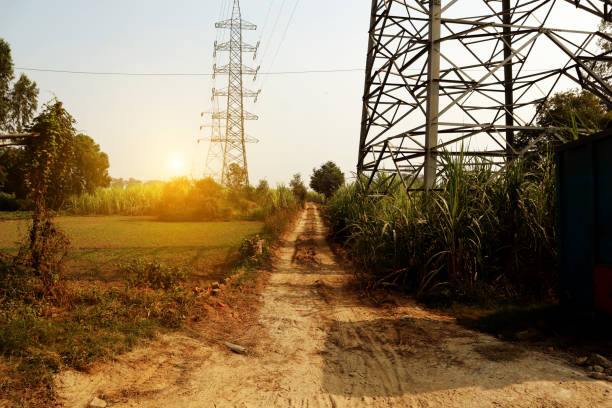 Scenic view of dirt road between agricultural field during sunset time.