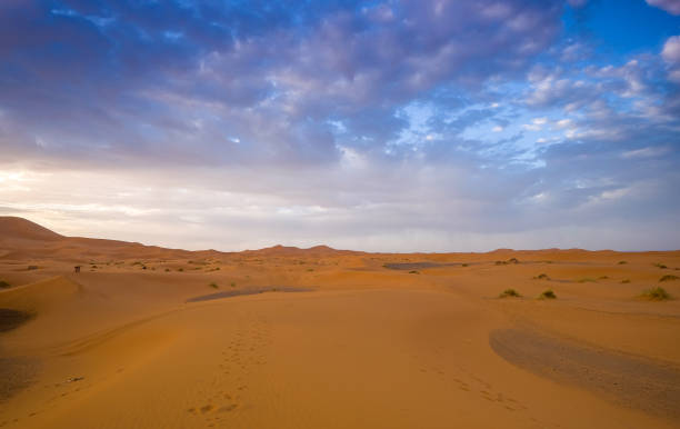 istock sunset at Erg Chebbi  nearby Merzouga, Morocco 1372297347