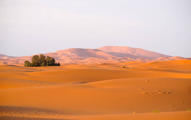 istock Erg Chebbi nearby Merzouga, Morocco 1372297365