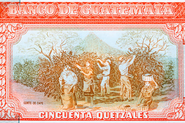 istock Crop workers from Guatemalan money 1372298535