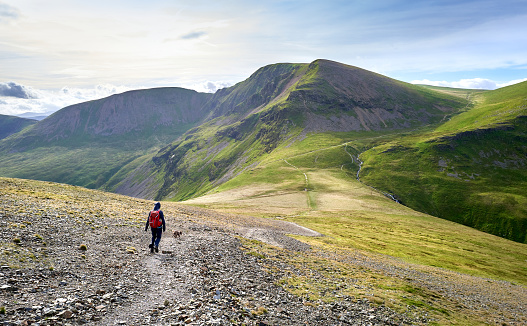 A hiker and their dog walking along a rugged path on a sunny day towards the summits of Crag Hill, Grasmoor and Sail in the Lake District, England, UK.