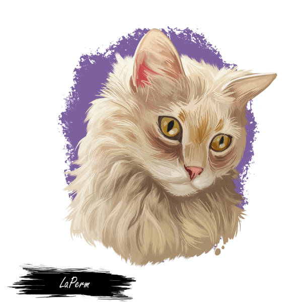 istock Laperm kitten licking paw, red adorable pet isolated on white background. Digital art illustration of hand drawn kitty for web. Little domestic animal with shorthair coat and mustache cleaning 1372298759
