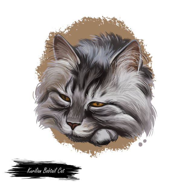 istock Kurilian bobtail kitten isolated on white background. Digital art illustration of hand drawn little pet for web. Head of domestic kitten with dense and fluffy ashy grey shade of coat, black eyes 1372298765