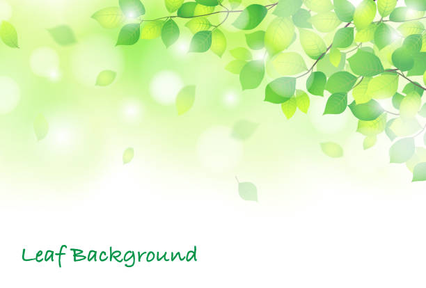 新鮮な緑の背景素材をリフレッシュ - may点のイラスト素材／クリップアート素材／マンガ素材／アイコン素材
