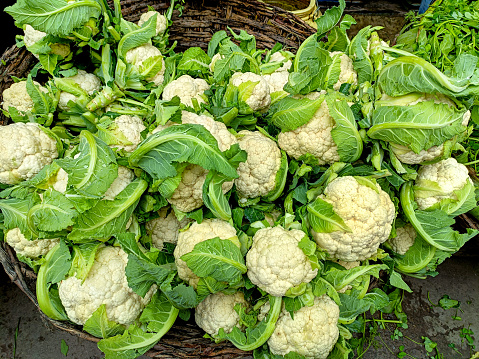 A group of cauliflower, fresh cauliflower for sale at a market in india