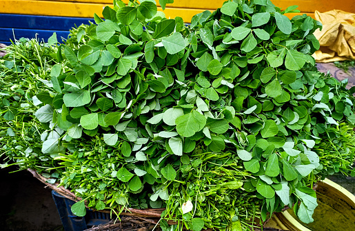 A Bunch of fresh green fenugreek vegetable, healthy and nutritious for sale at a market in india