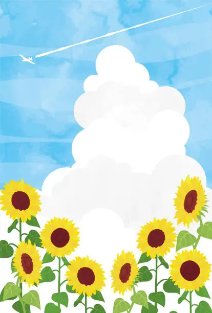 Vector illustration of Frame material of summer image of sunflower illustration