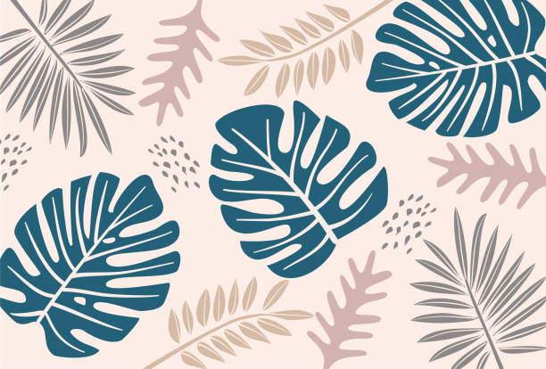 materiał tła liści tropikalnych - beige background ilustracje stock illustrations