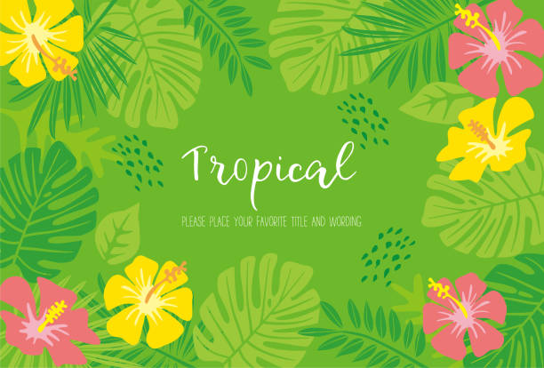 ilustraciones, imágenes clip art, dibujos animados e iconos de stock de material de marco de motivo tropical - frutas tropicales
