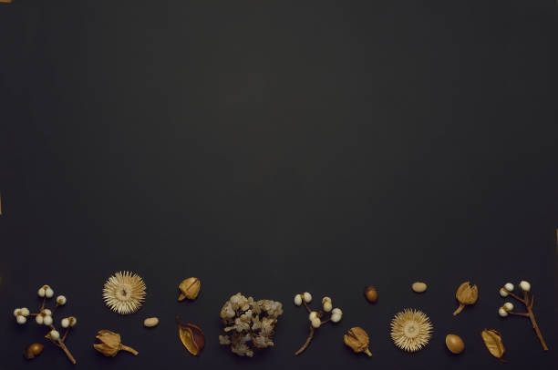 istock Dried Flowers & Leaves for the Background 1372307060