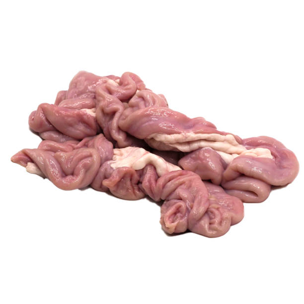 istock Uncooked pig intestine on white background. 1372307775