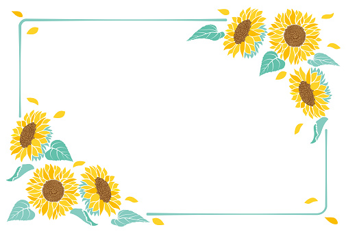 Frame material of summer image of sunflower illustration