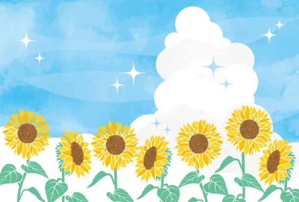 Vector illustration of Summer landscape illustration of sunflower field in full bloom