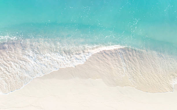 istock Soft blue ocean wave on clean sandy beach background 1372315502