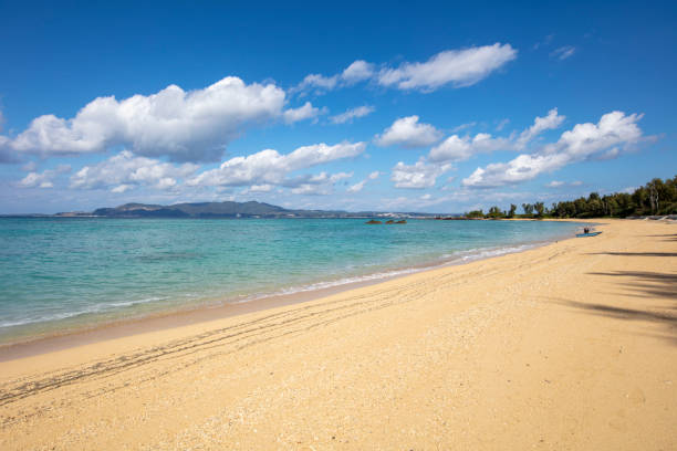 okinawa beach - vacaciones de sol y playa fotografías e imágenes de stock