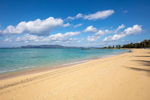 沖縄のビーチ - 打ち寄せる波 ストックフォトと画像