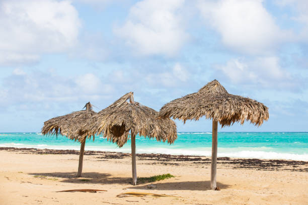 istock Three wooden umbrellas stand on an empty beach 1372316899