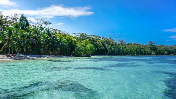 istock Beautiful sunny summer holiday environment. 1372317494