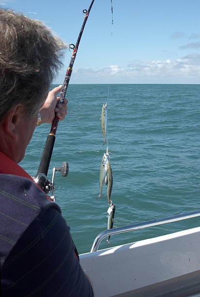 istock Mackerel fishing 137231844