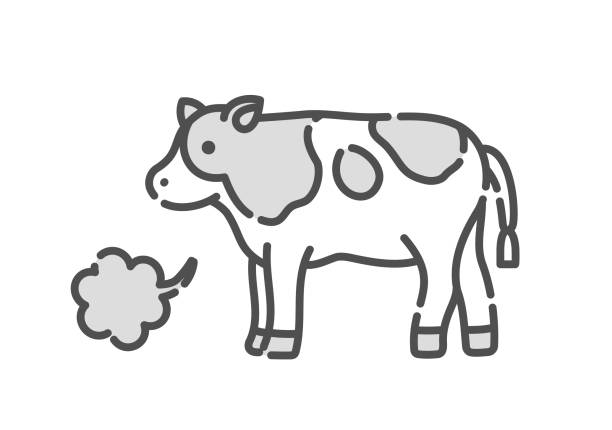 ilustrações, clipart, desenhos animados e ícones de uma simples ilustração de uma vaca arrotando. - arrotar
