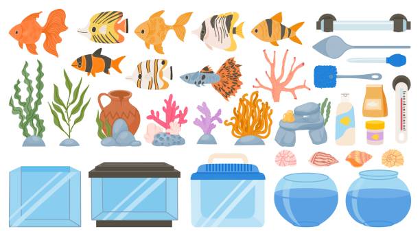 Cartoon aquarium fish, food, decoration, tank, tools and equipment. Underwater seaweeds, corals and seashells. Aquarium accessory vector set Cartoon aquarium fish, food, decoration, tank, tools and equipment. Underwater seaweeds, corals and seashells. Aquarium accessory vector set. Illustration of aquarium animal water and decoration gold fish tank stock illustrations